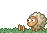 :sheeps: